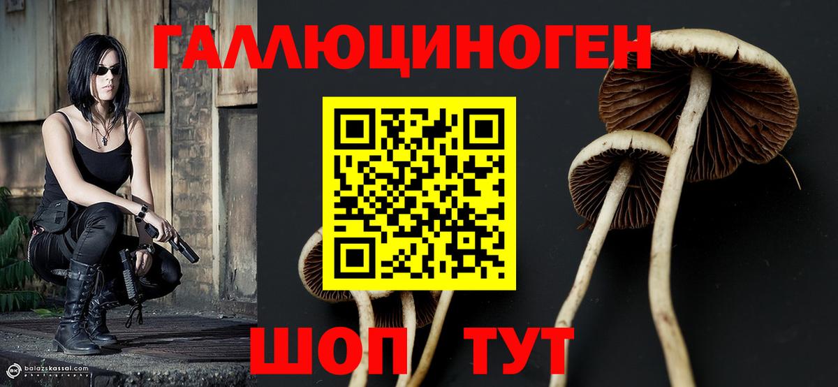 Псилоцибиновые грибы Psilocybine cubensis Орехово-Зуево